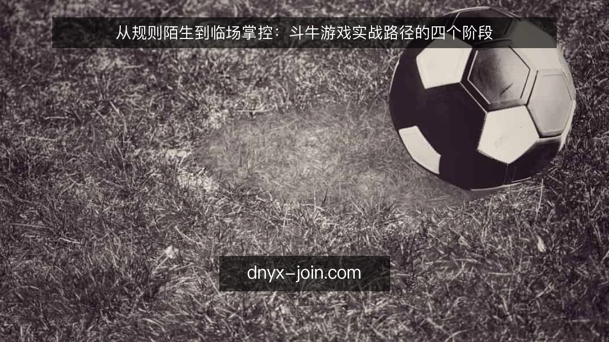 从规则陌生到临场掌控：斗牛游戏实战路径的四个阶段