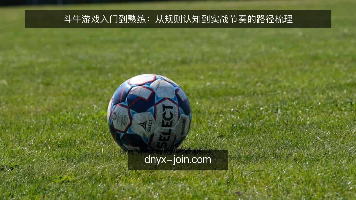 斗牛游戏入门到熟练：从规则认知到实战节奏的路径梳理