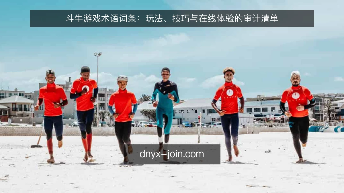 斗牛游戏术语词条：玩法、技巧与在线体验的审计清单